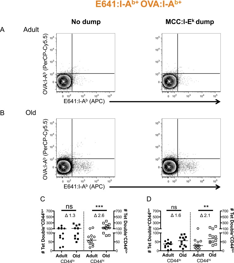 Figure 2—figure supplement 7.