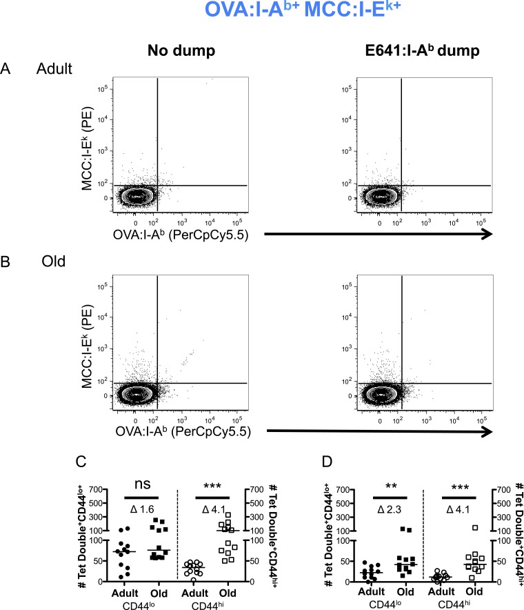 Figure 2—figure supplement 8.