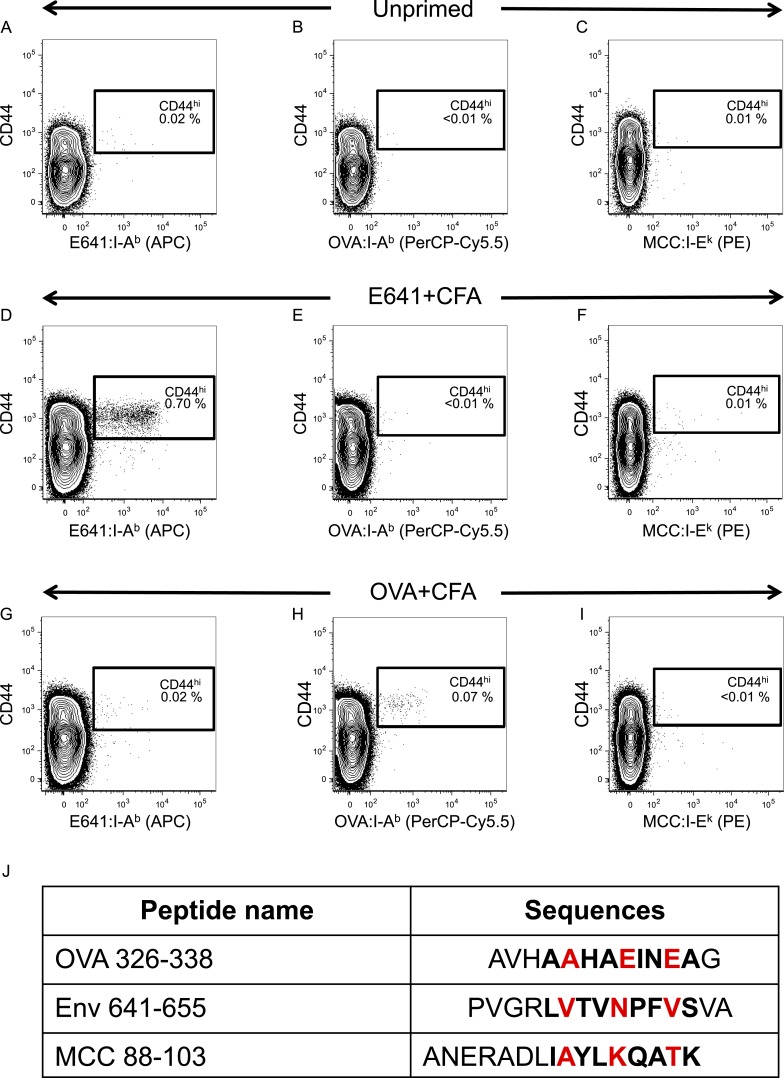 Figure 2—figure supplement 2.