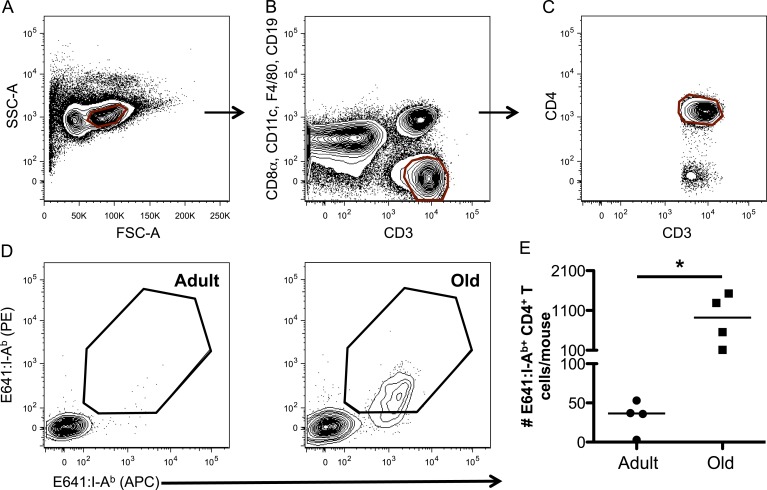 Figure 2—figure supplement 3.