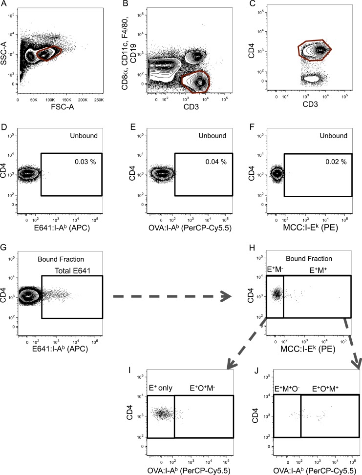 Figure 2—figure supplement 5.