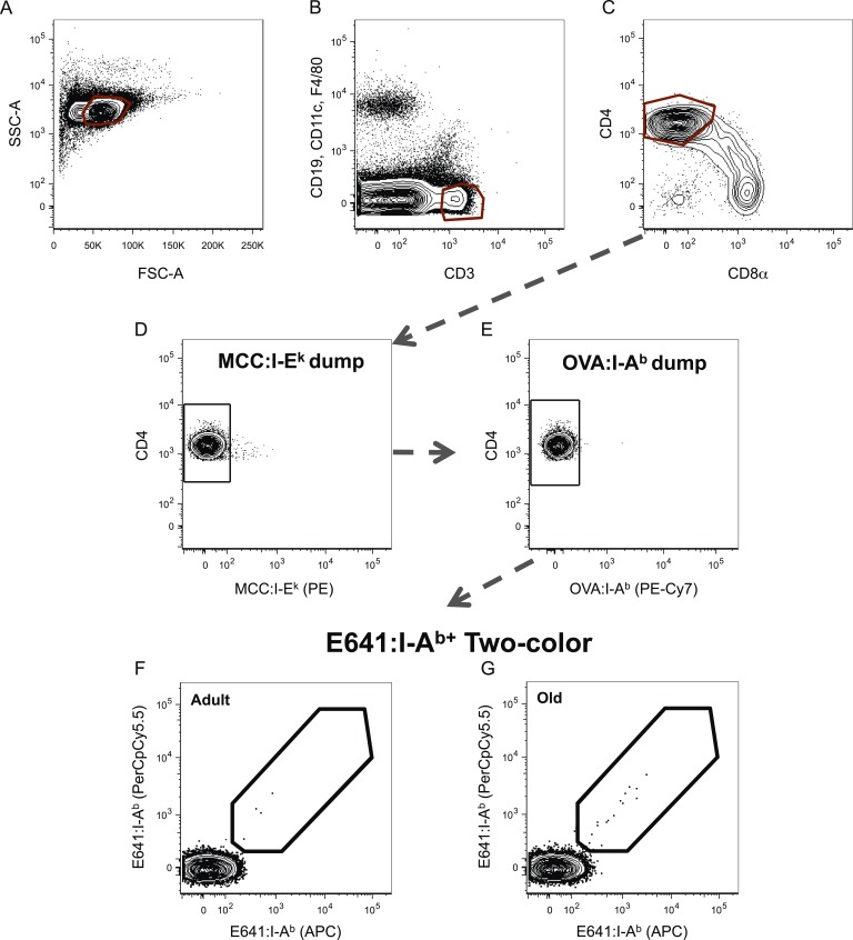 Figure 3—figure supplement 1.