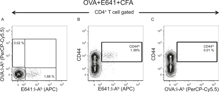 Figure 2—figure supplement 4.