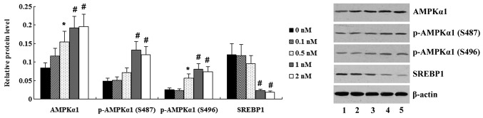 Figure 5.