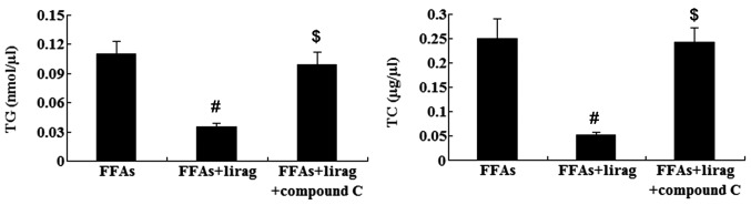 Figure 11.