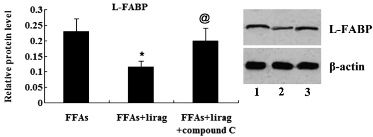 Figure 12.