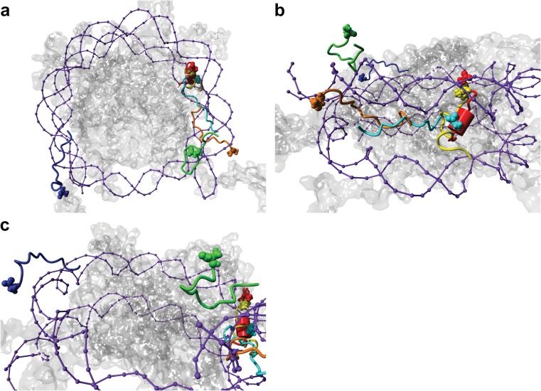 Fig. 7a–c