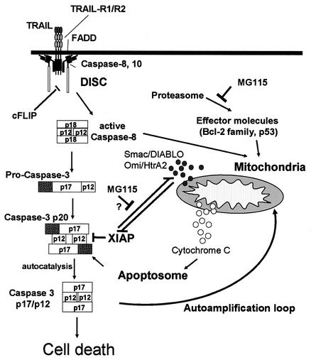 FIG. 10.