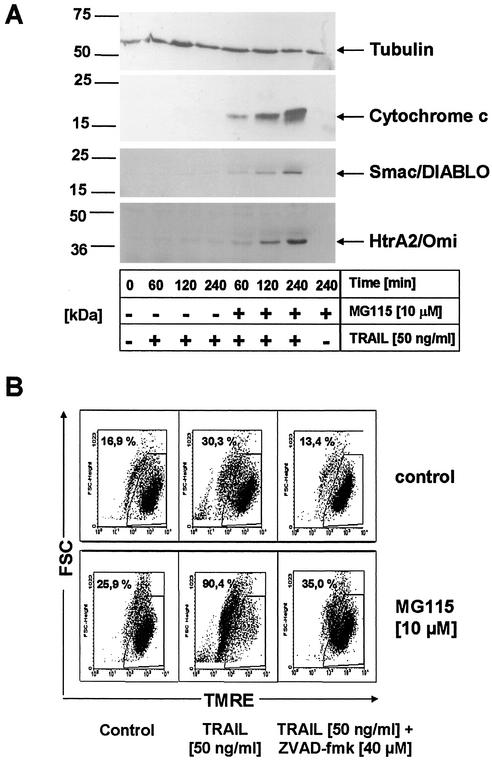 FIG. 9.