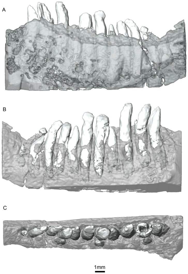 Figure 10