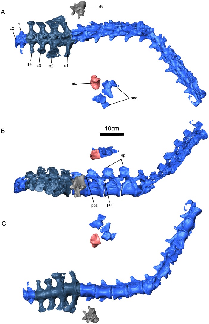 Figure 11