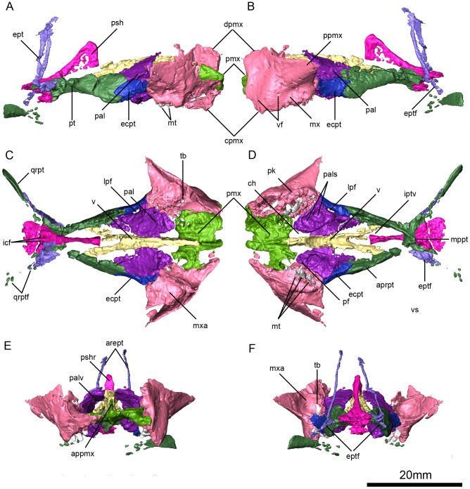 Figure 6