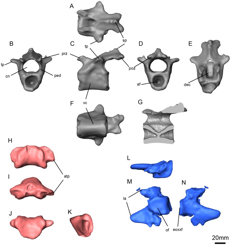 Figure 12