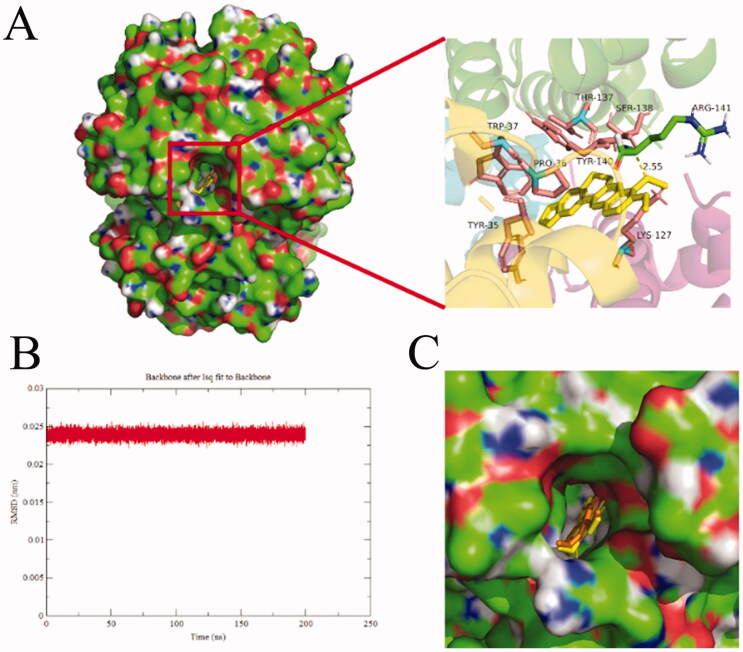 Figure 11.