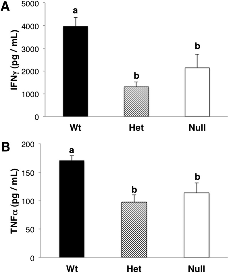 Fig. 9.