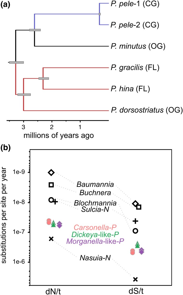 Fig. 6.