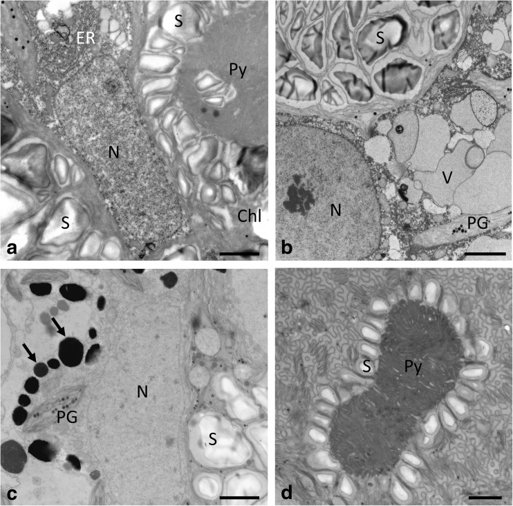 Fig. 7