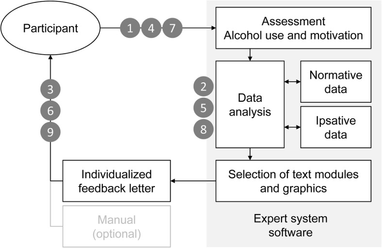 Fig. 2