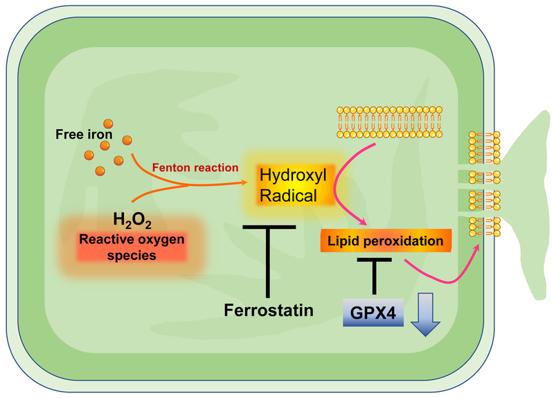 Figure 3: