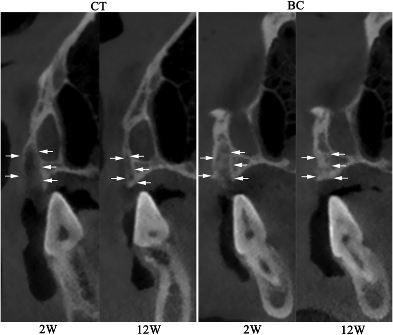 Figure 3