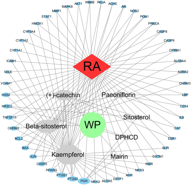 FIGURE 3