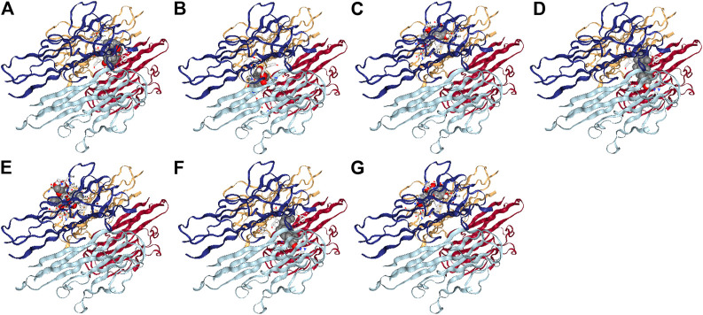 FIGURE 7