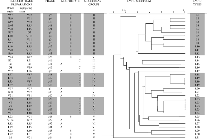 FIG. 6.