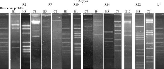 FIG. 4.