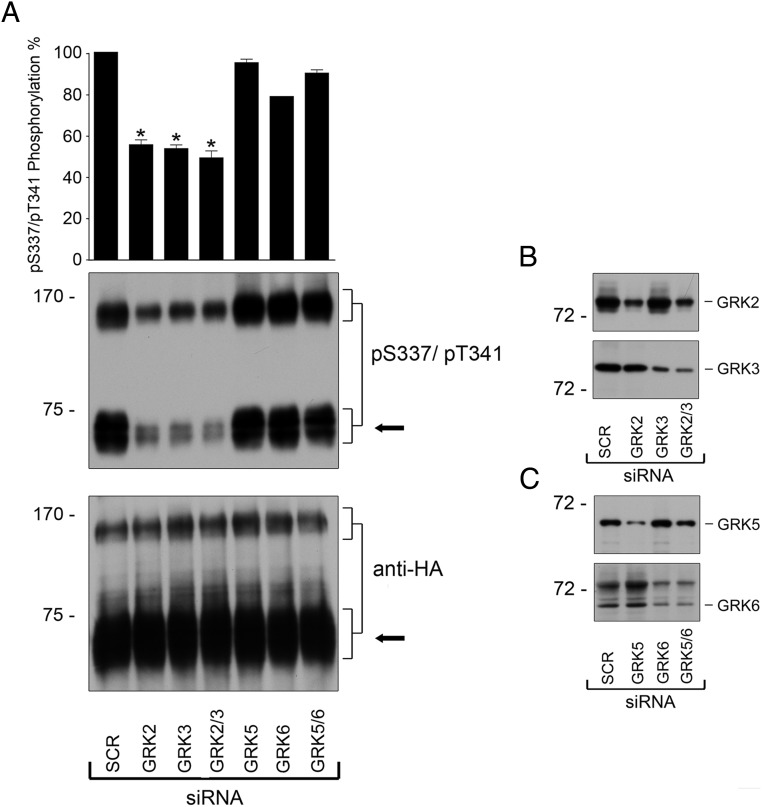 Figure 7.