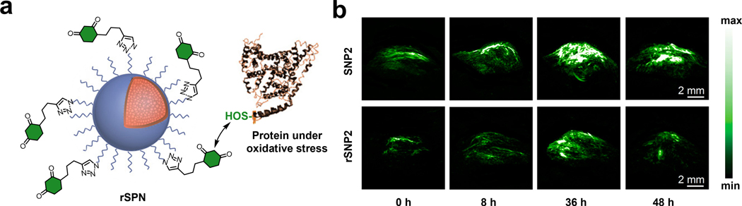 Figure 12.