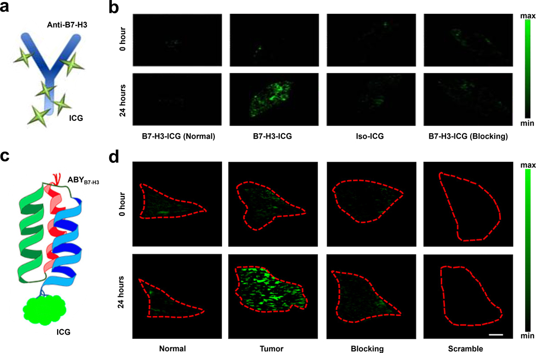 Figure 3.