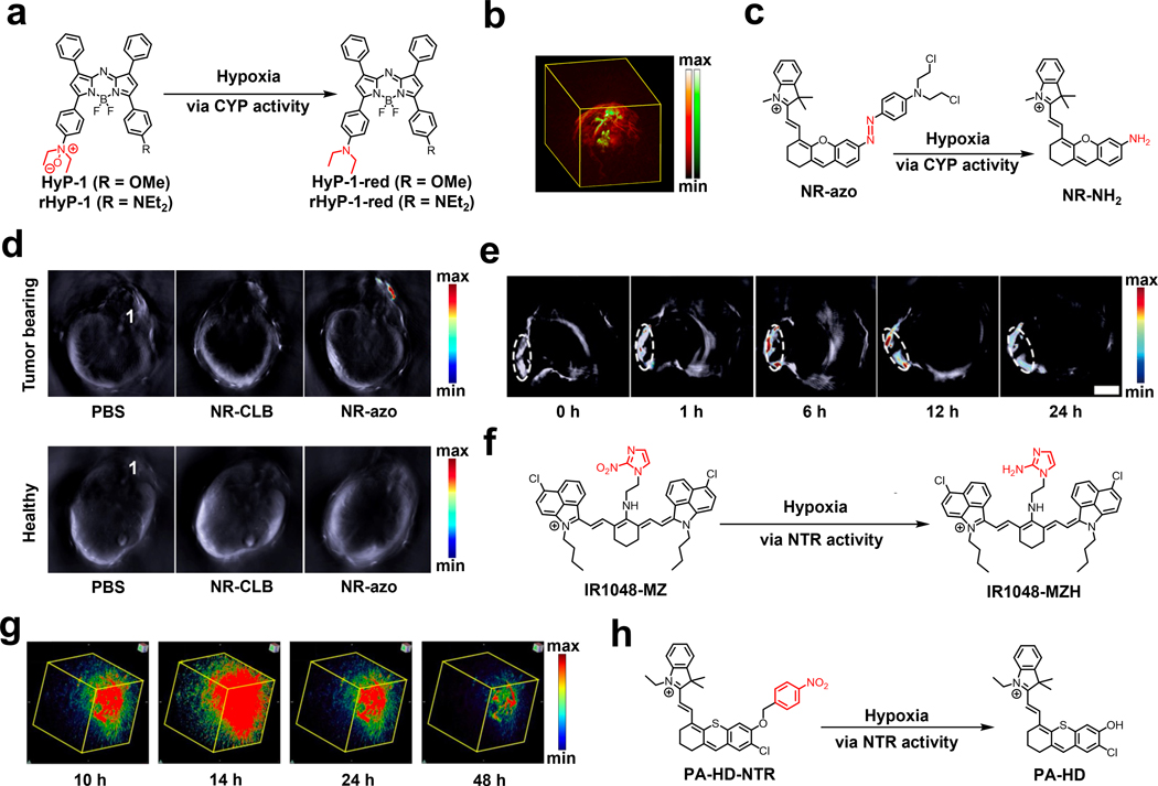 Figure 25.