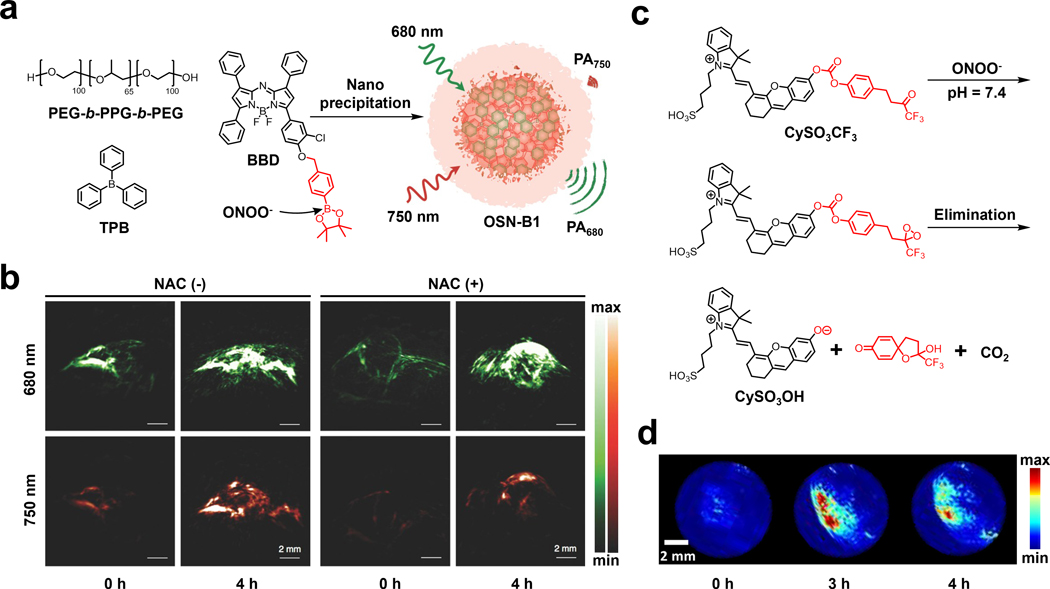 Figure 22.