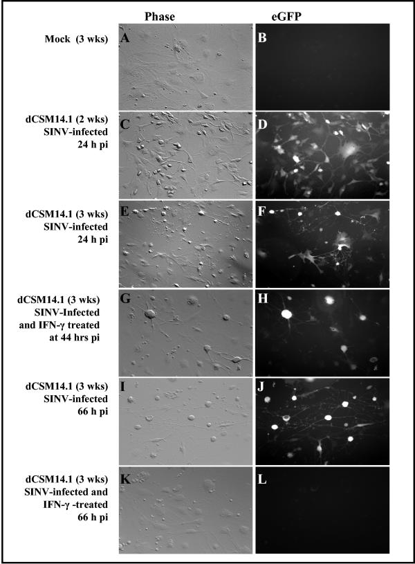 FIG. 6.