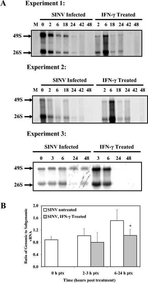 FIG. 8.