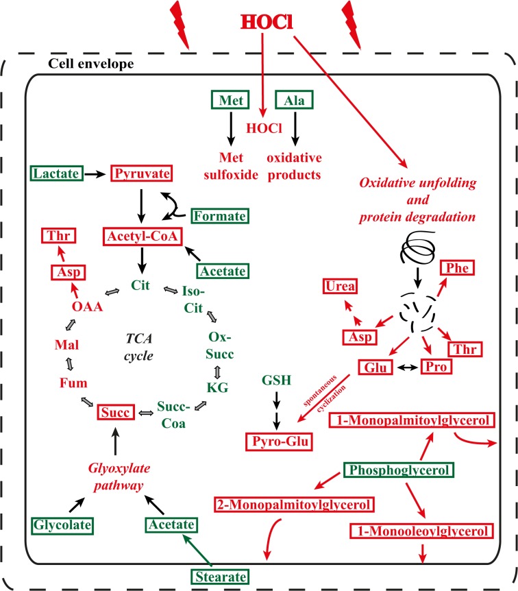 Fig 6