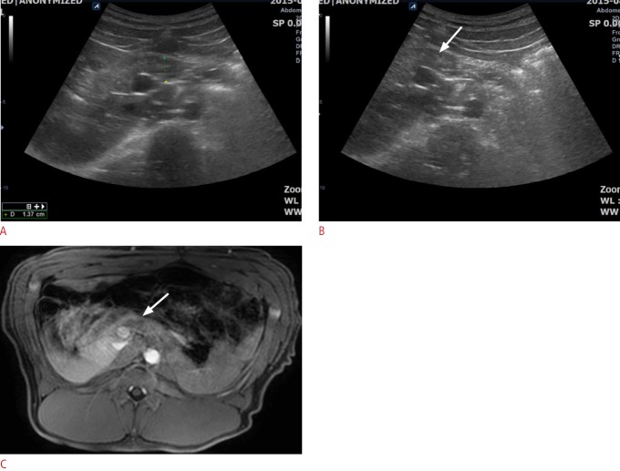 Fig.2.