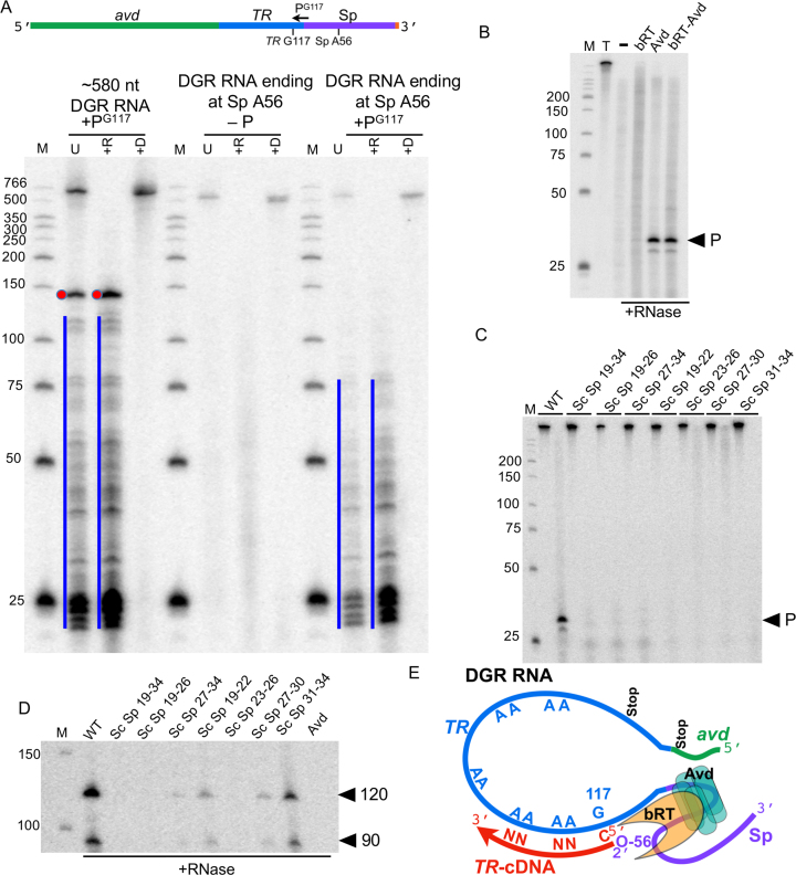 Figure 6.