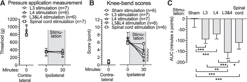 Fig. 8.