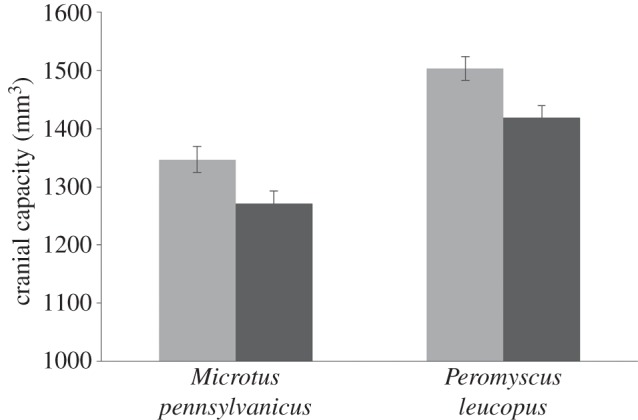 Figure 1.