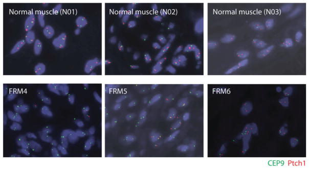 Figure 5