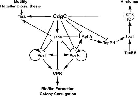 FIG. 7.