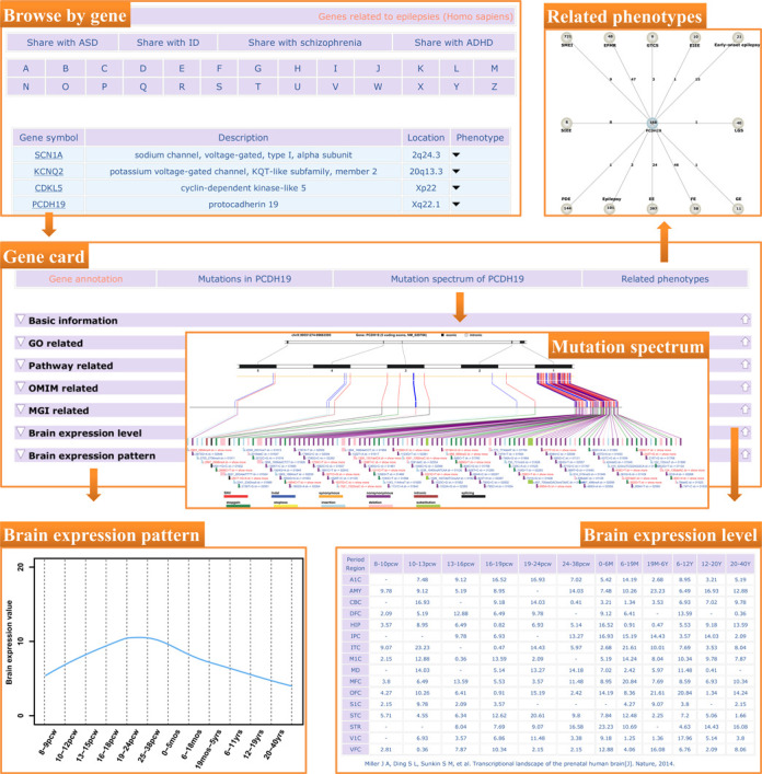 Figure 1.