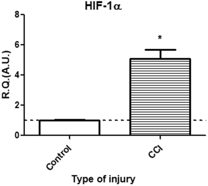 Figure 5.