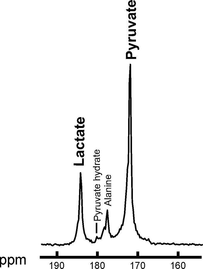 Summed 13C spectra over time after 13C-pyruvate bolus arrival in the breast. Summed spectra for (a) baseline and (b) after one cycle of neoadjuvant chemotherapy. ppm = parts per million.