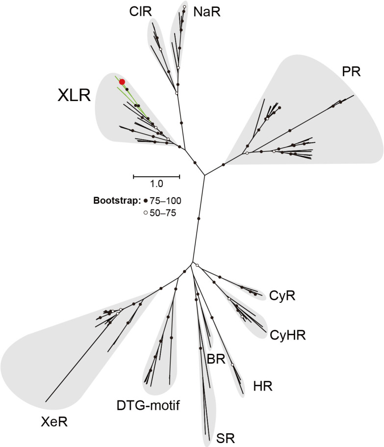 Fig. 1.