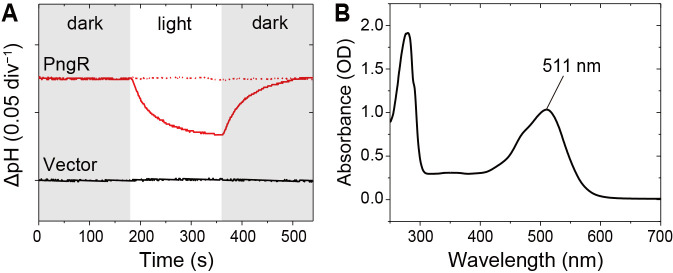 Fig. 2.