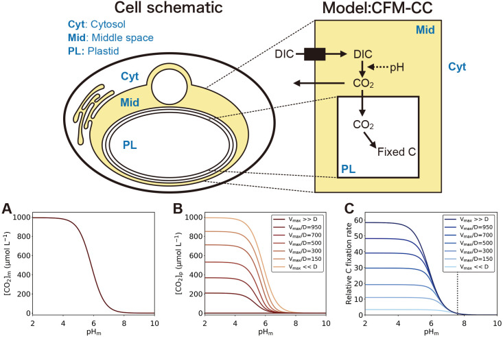 Fig. 4.