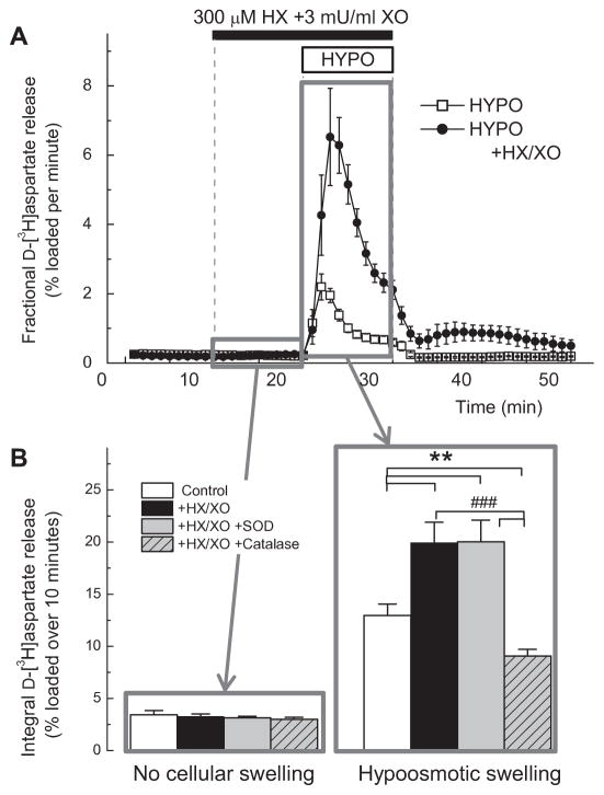 FIG. 6