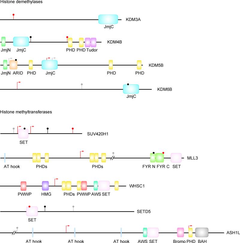 Extended Data Figure 7